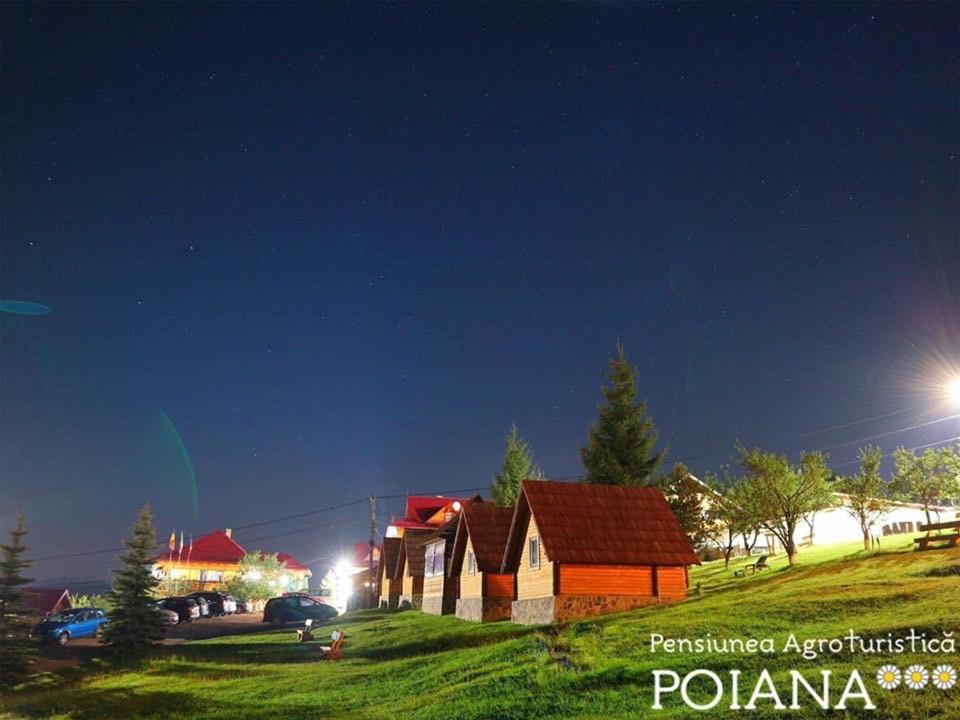 Pensiunea Agroturistica Poiana Poiana Negrii Dış mekan fotoğraf