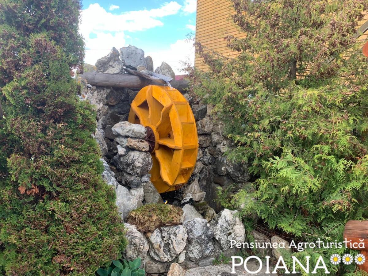 Pensiunea Agroturistica Poiana Poiana Negrii Dış mekan fotoğraf