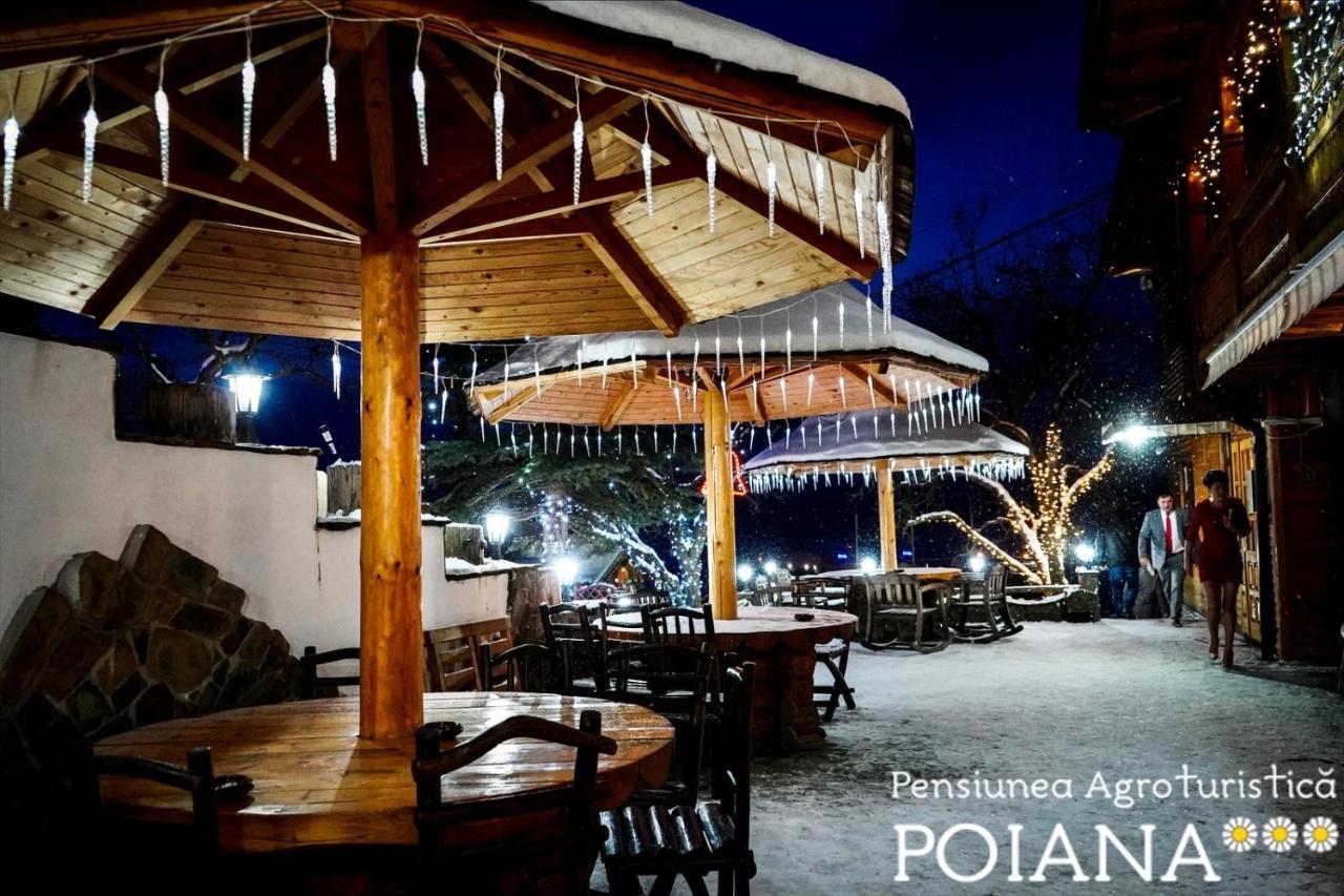 Pensiunea Agroturistica Poiana Poiana Negrii Dış mekan fotoğraf