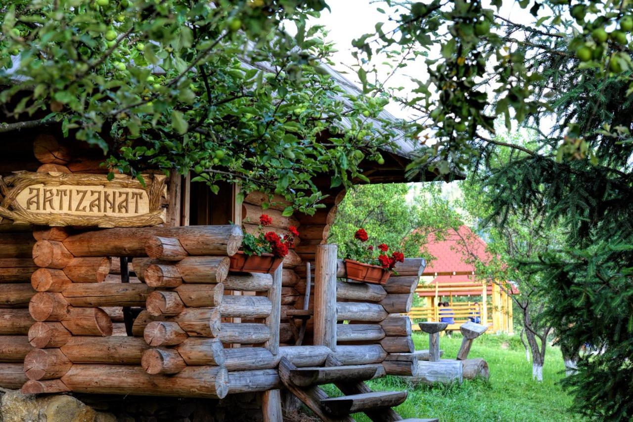 Pensiunea Agroturistica Poiana Poiana Negrii Dış mekan fotoğraf