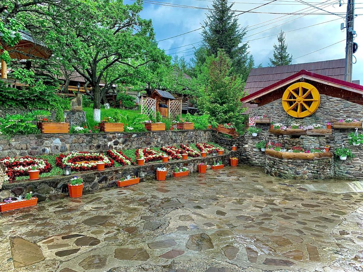 Pensiunea Agroturistica Poiana Poiana Negrii Dış mekan fotoğraf
