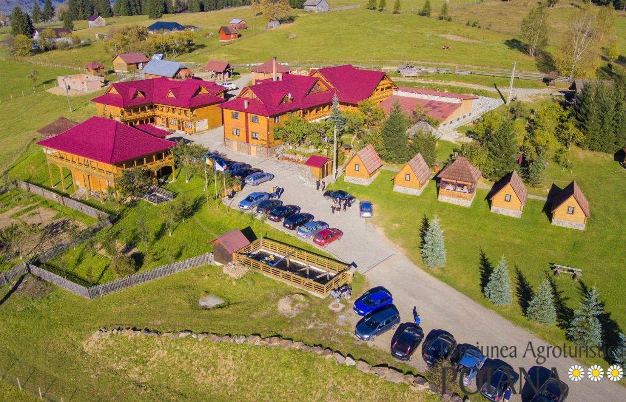 Pensiunea Agroturistica Poiana Poiana Negrii Dış mekan fotoğraf